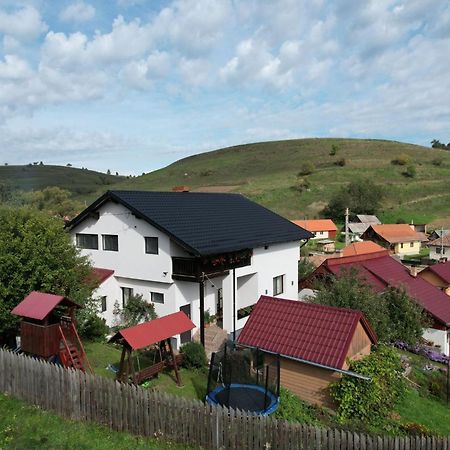 Cazare La Mitica Subcetate  Buitenkant foto