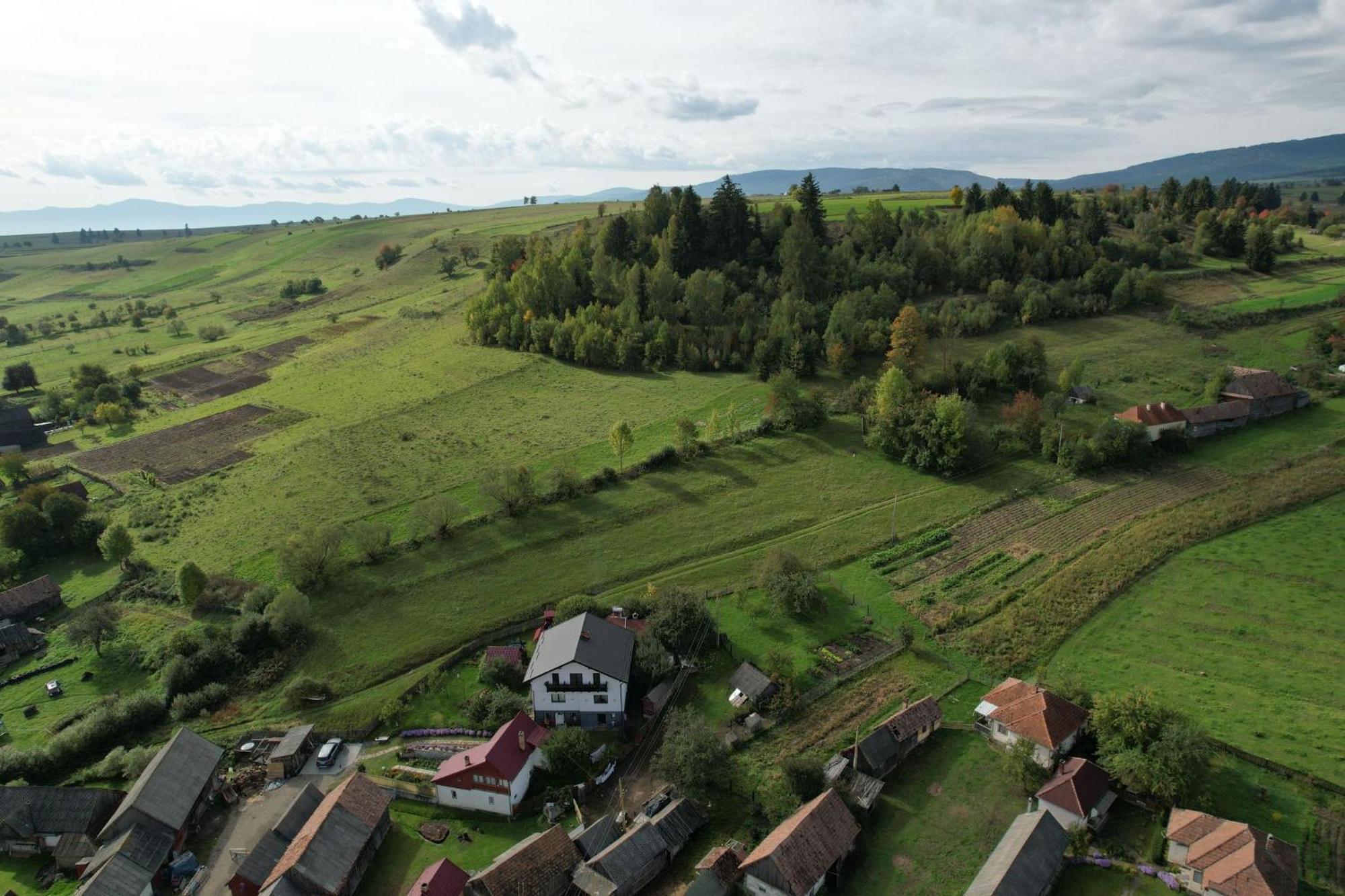 Cazare La Mitica Subcetate  Buitenkant foto