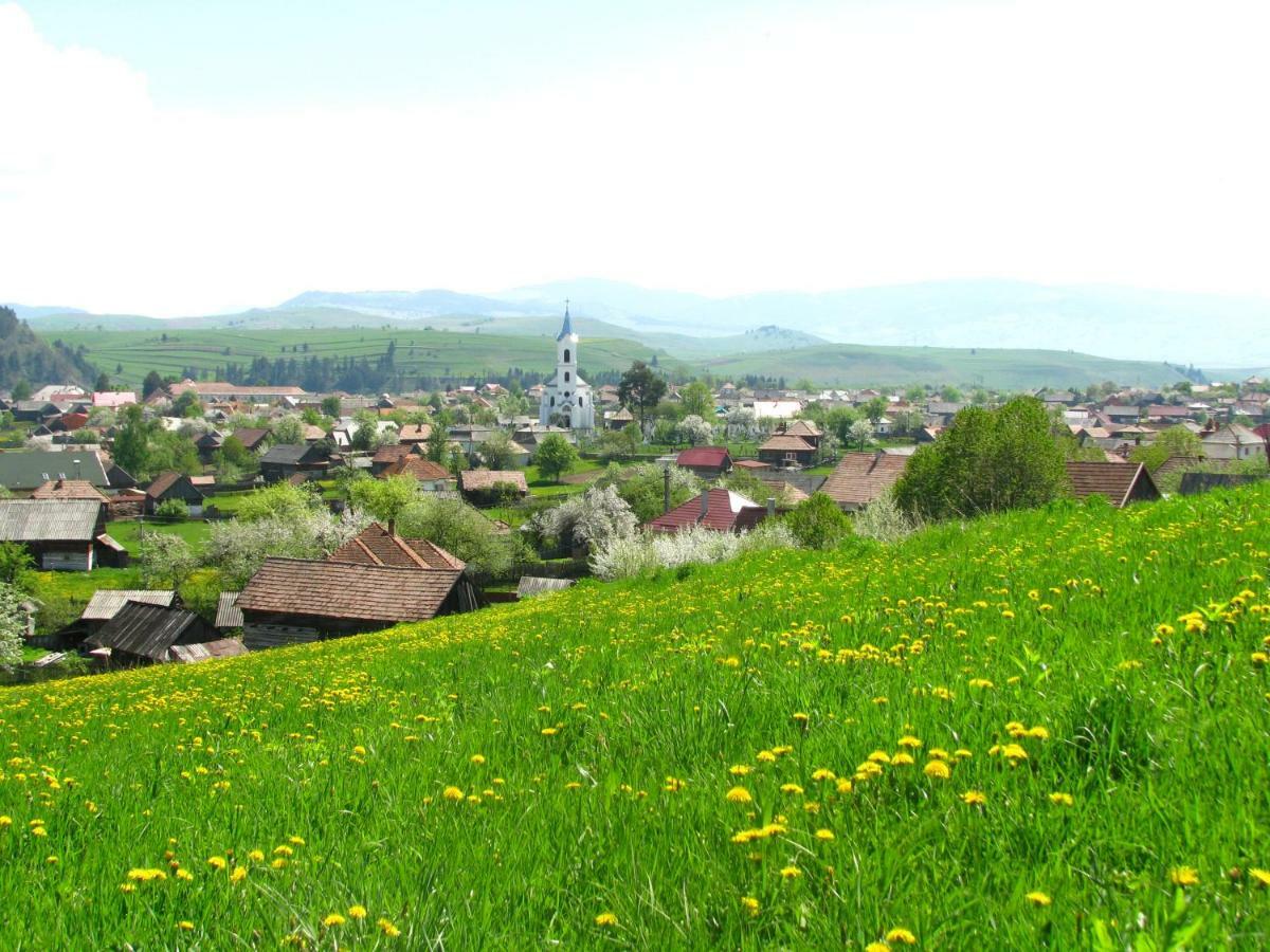 Cazare La Mitica Subcetate  Buitenkant foto